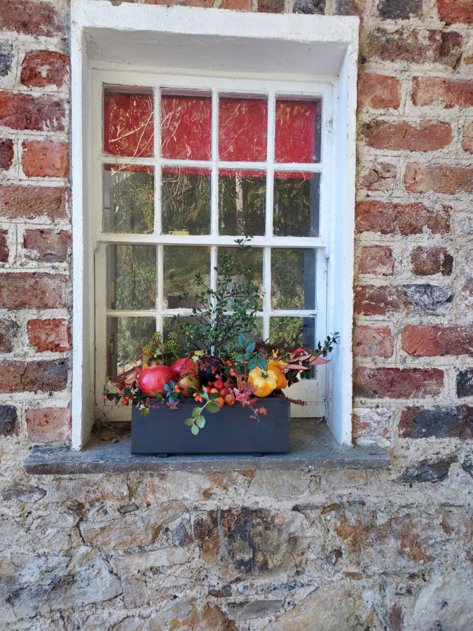 Lynam Cottage Ashford Εξωτερικό φωτογραφία