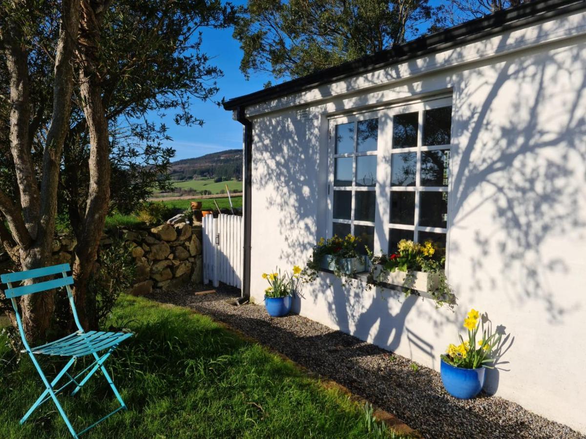 Lynam Cottage Ashford Εξωτερικό φωτογραφία